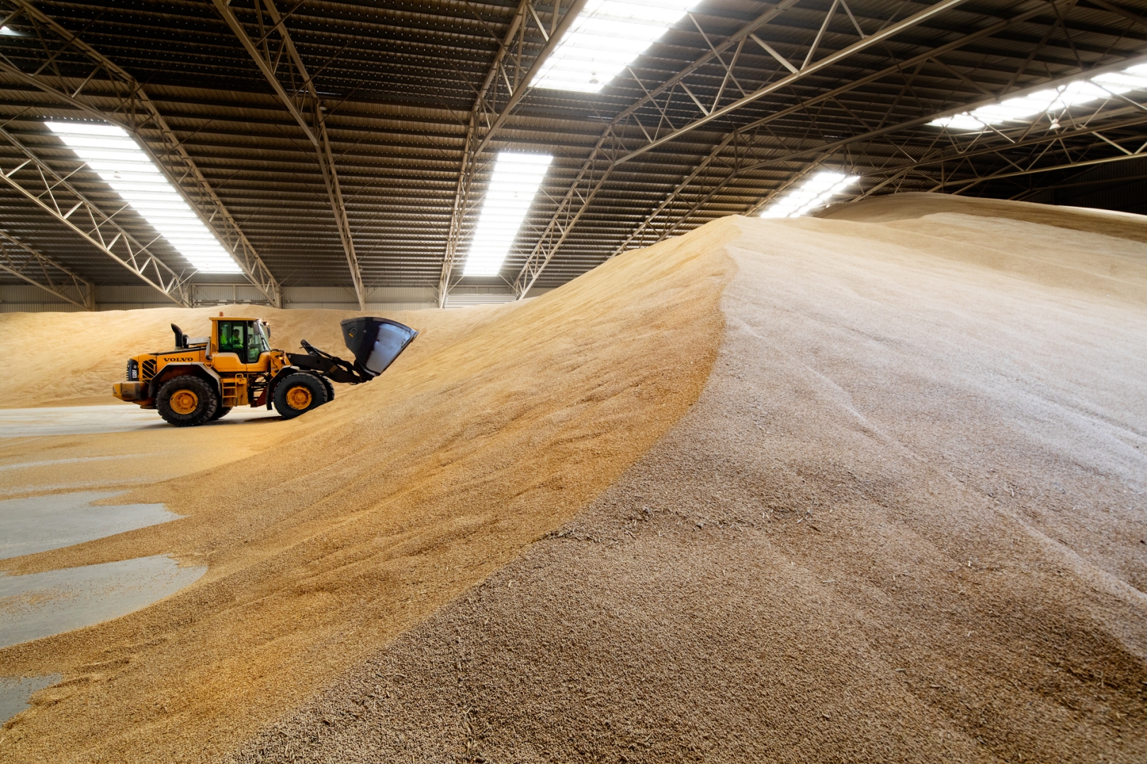 Agricultural Inputs, Relief Foods & Consumables asset 3